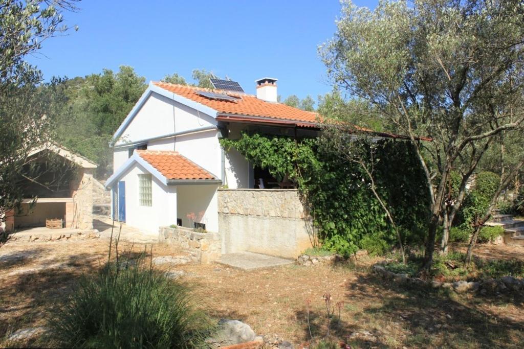 Secluded Fisherman'S Cottage Cove Magrovica - Telascica, Dugi Otok - 8142 Sali Dış mekan fotoğraf